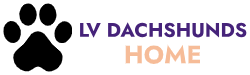 LV DACHSHUNDS HOME